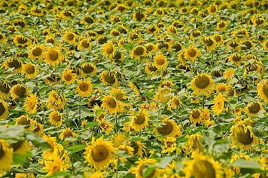 多人合作生存恐怖游戏《怦然惊吓》现已推出抢先体验版